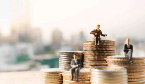 金融中介理论 学术视角下的存在意义与服务解析