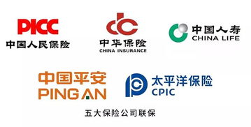 引领建材家居未来 中装聚材道如何以金融中介服务驱动行业转型升级